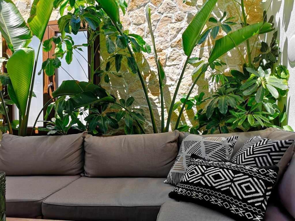 Casa Rural Albireo Rebosante De Luz Y Naturaleza Санлукар-де-Гвадіана Екстер'єр фото